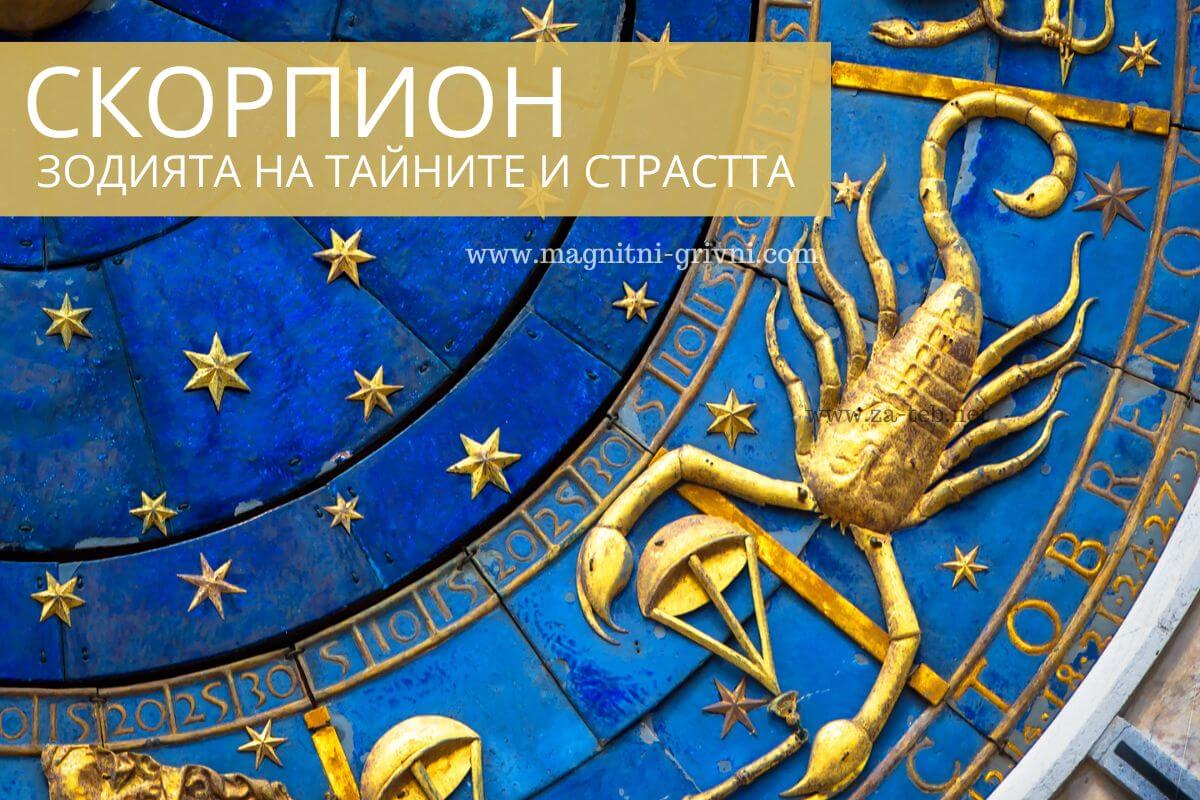 Скорпион - Един от най-тайнствените и страстни знаци в зодиака