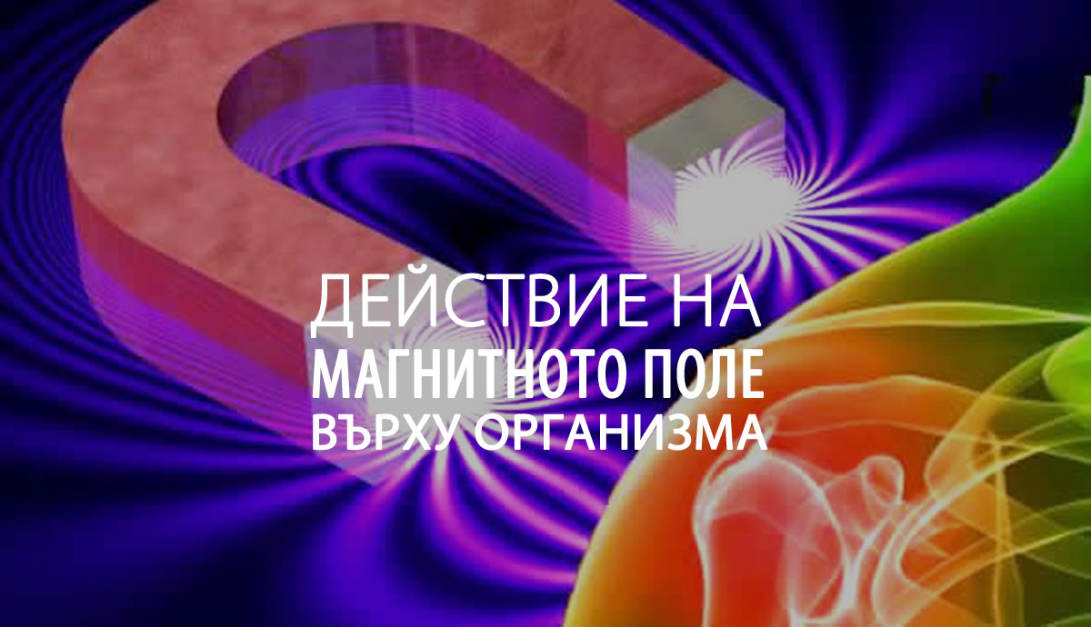 Действие на магнитното поле върху организма