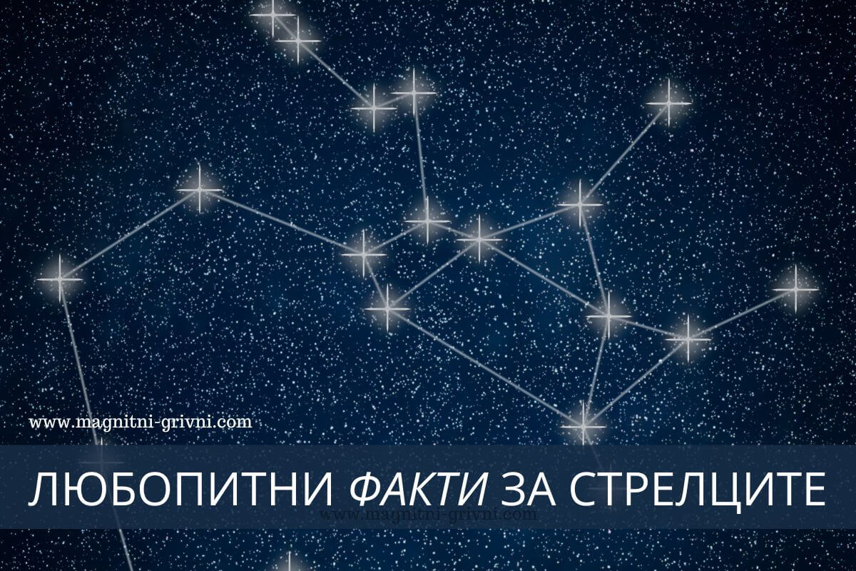 Любопитни факти за Стрелците