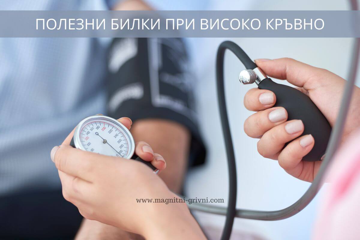 Тези билки са полезни при високо кръвно
